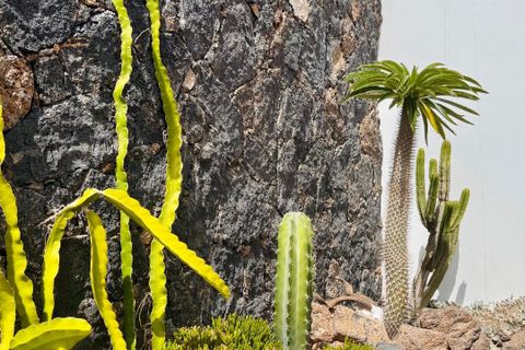 Villa i La Oliva, Fuerteventura, La Oliva - € 635.000 | Ref: villaoliva - foto 43